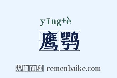 鹰鹗是什么意思的图片